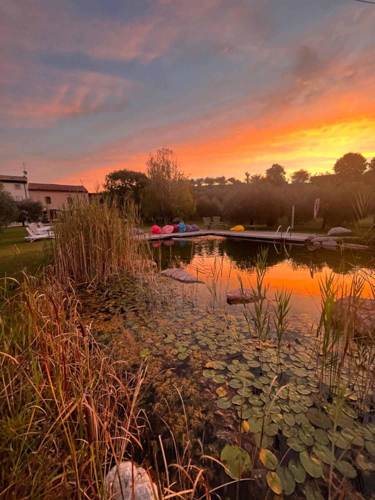 Agriturismo Casa Aurora Bussolengo Εξωτερικό φωτογραφία