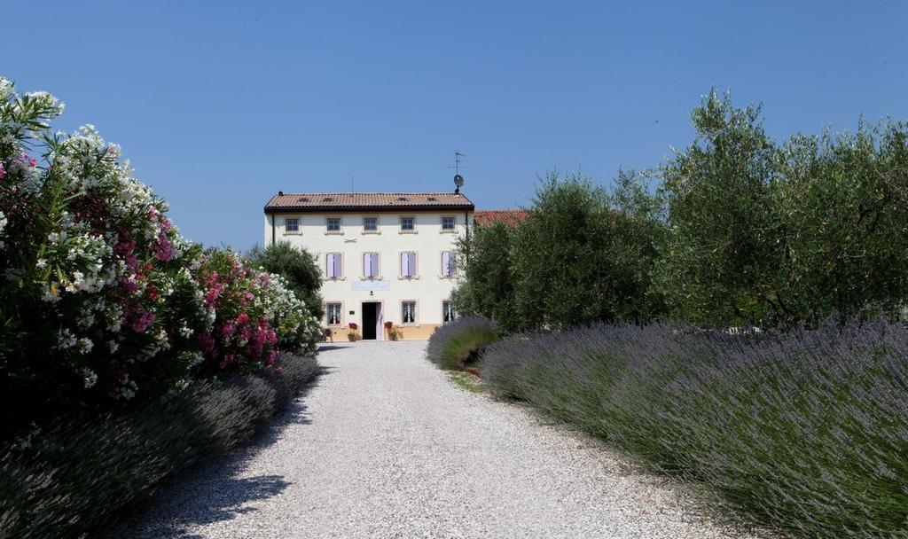 Agriturismo Casa Aurora Bussolengo Εξωτερικό φωτογραφία