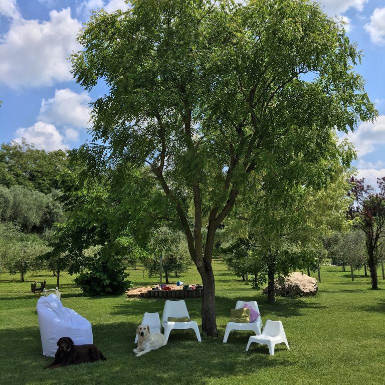 Agriturismo Casa Aurora Bussolengo Εξωτερικό φωτογραφία