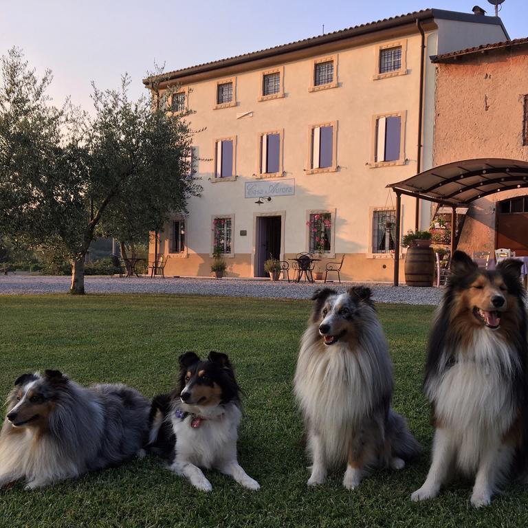 Agriturismo Casa Aurora Bussolengo Εξωτερικό φωτογραφία
